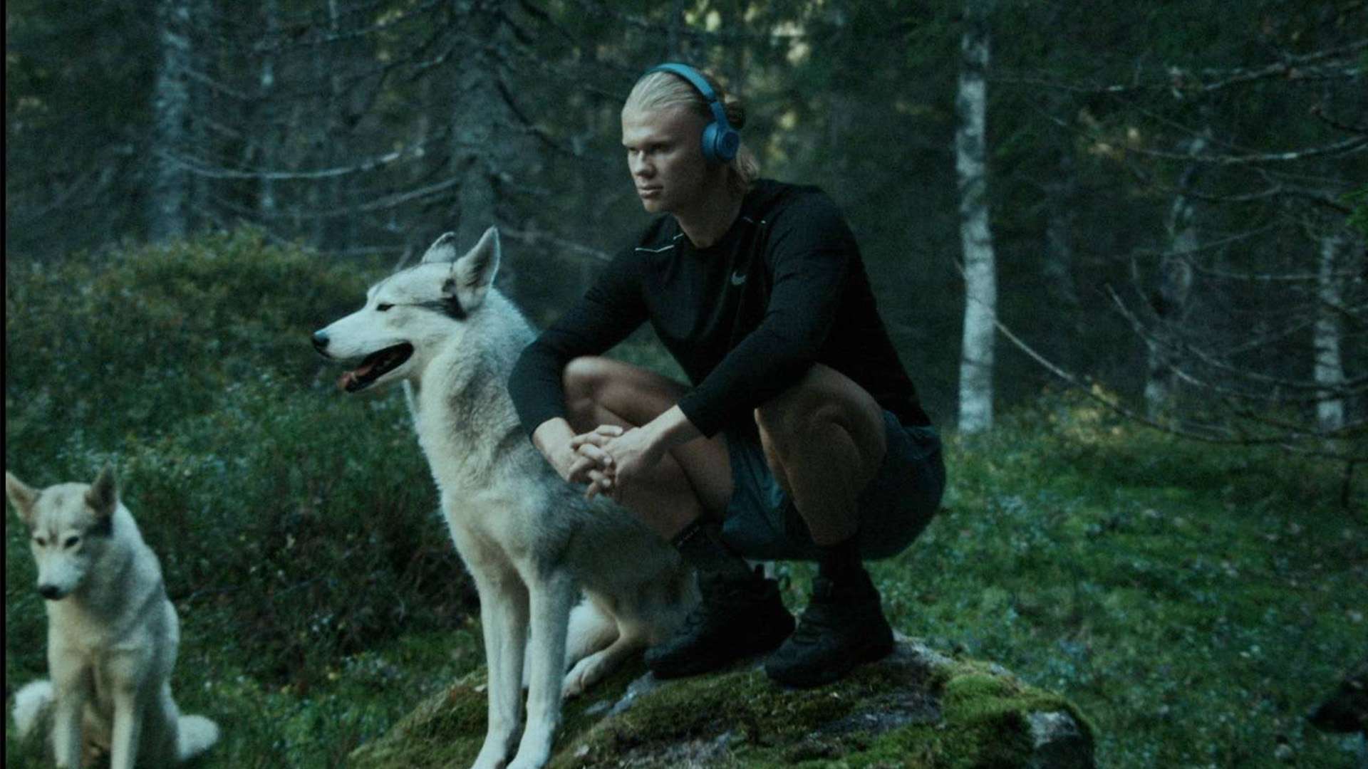 展現的防守 展現的防守