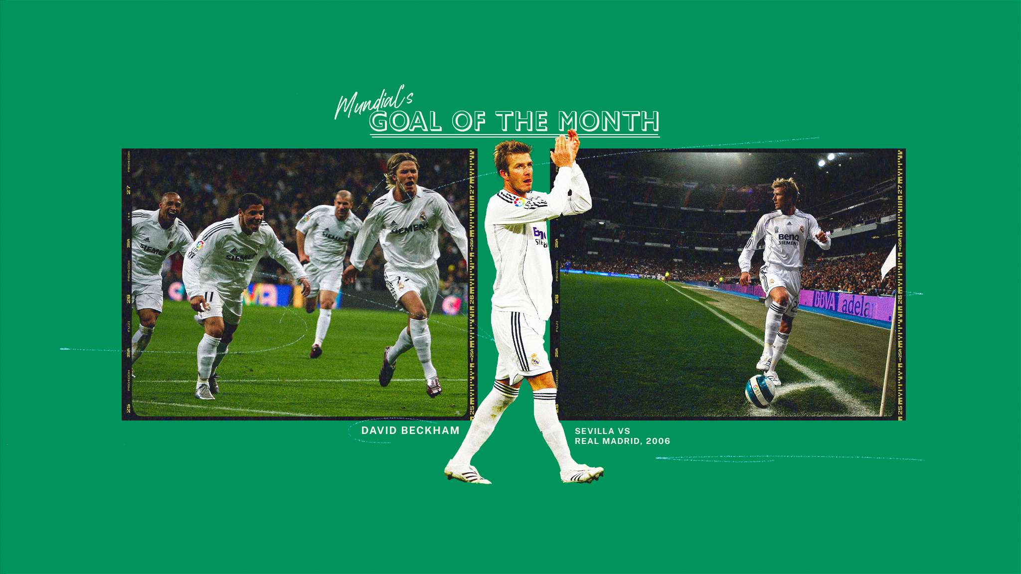 保持穩定的 保持穩定的